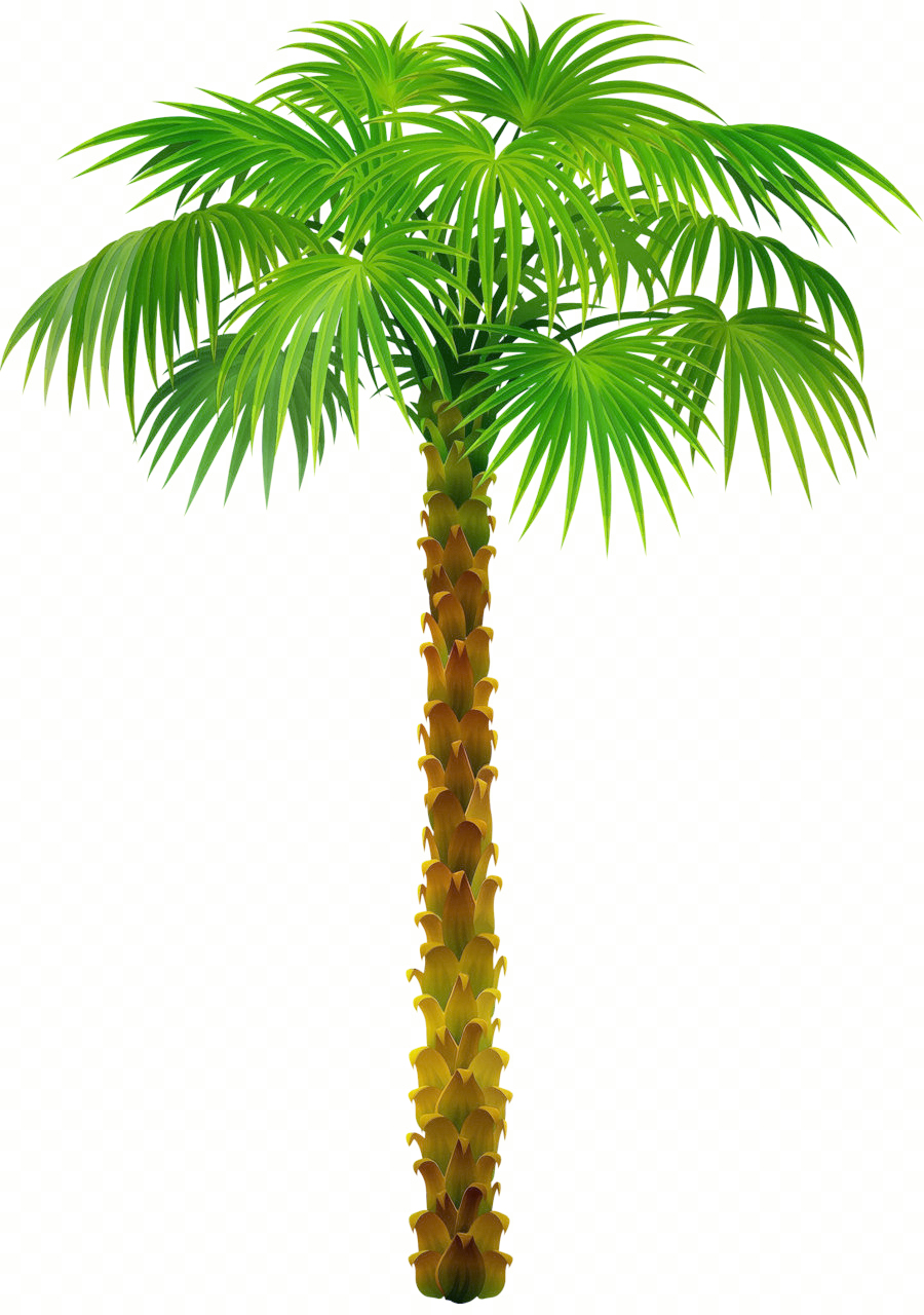 Nūn