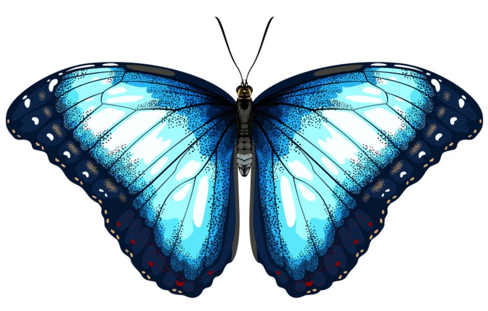 Fāʾ